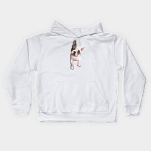 Copy of Puppy Frenchie Kids Hoodie